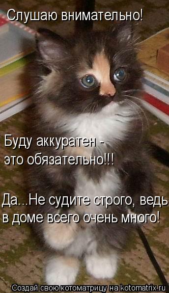 Слушаю внимательно! Буду аккуратен - это обязательно!!! Да...Не судите строго, ведь в доме всего очен... Котоматрица: Слушаю внимательно! Буду аккуратен - это обязательно!!! Да...Не судите строго, ведь в доме всего очень много!