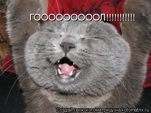 ГОООООООООЛ!!!!!!!!!!!... Котоматрица: ГОООООООООЛ!!!!!!!!!!!