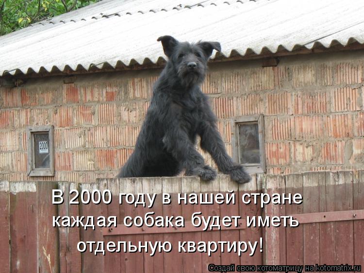 В 2000 году в нашей стране каждая собака будет иметь отдельную квартиру!... Котоматрица: В 2000 году в нашей стране каждая собака будет иметь отдельную квартиру!