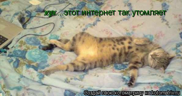 хух хух...этот интернет так утомляет... Котоматрица: хух хух...этот интернет так утомляет