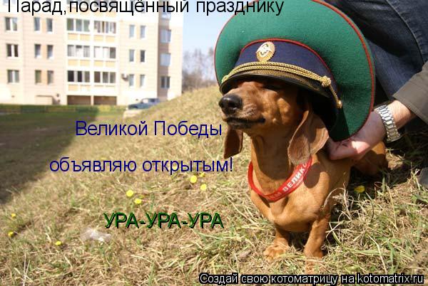 Парад,посвящённый празднику Великой Победы объявляю открытым! УРА-УРА-УРА... Котоматрица: Парад,посвящённый празднику Великой Победы объявляю открытым! УРА-УРА-УРА