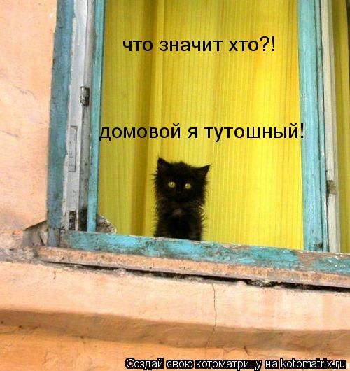 что значит хто?! домовой я тутошный!... Котоматрица: что значит хто?! домовой я тутошный!