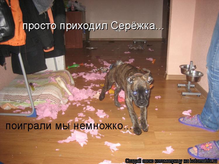 просто приходил Серёжка... поиграли мы немножко...... Котоматрица: просто приходил Серёжка... поиграли мы немножко...