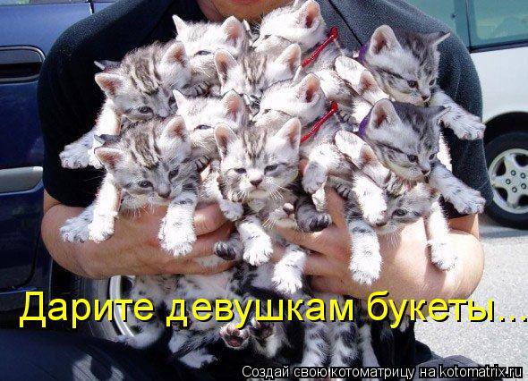 Дарите девушкам букеты...... Котоматрица: Дарите девушкам букеты...
