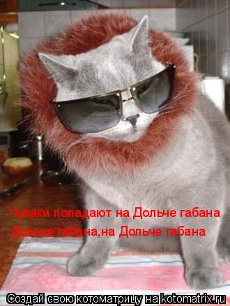 Чуваки попадают на Дольче габана Дольче габана,на Дольче габана... Котоматрица: Чуваки попадают на Дольче габана Дольче габана,на Дольче габана