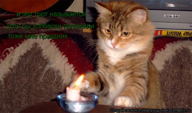 и это торт называется хоть бы колбаски положили тоже мне праздник... Котоматрица: и это торт называется хоть бы колбаски положили тоже мне праздник