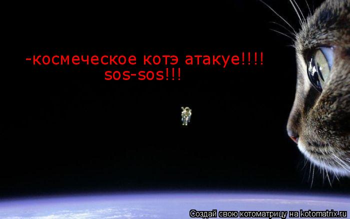 -космеческое котэ атакуе!!!! sos-sos!!!... Котоматрица: -космеческое котэ атакуе!!!! sos-sos!!!