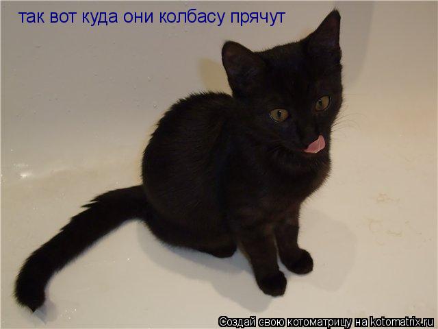 так вот куда они колбасу прячут... Котоматрица: так вот куда они колбасу прячут
