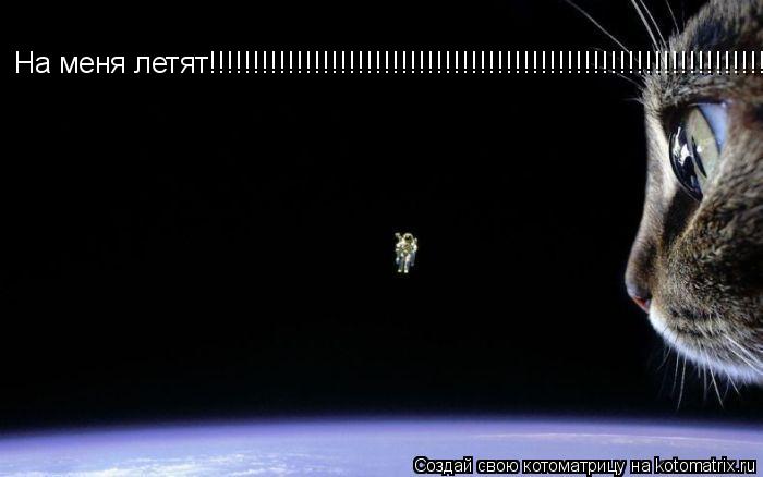 На меня летят!!!!!!!!!!!!!!!!!!!!!!!!!!!!!!!!!!!!!!!!!!!!!!!!!!!!!!!!!!!!!!!!!!!!!!!!!!!!!!!!!!!!!!!!... Котоматрица: На меня летят!!!!!!!!!!!!!!!!!!!!!!!!!!!!!!!!!!!!!!!!!!!!!!!!!!!!!!!!!!!!!!!!!!!!!!!!!!!!!!!!!!!!!!!!!!!!!