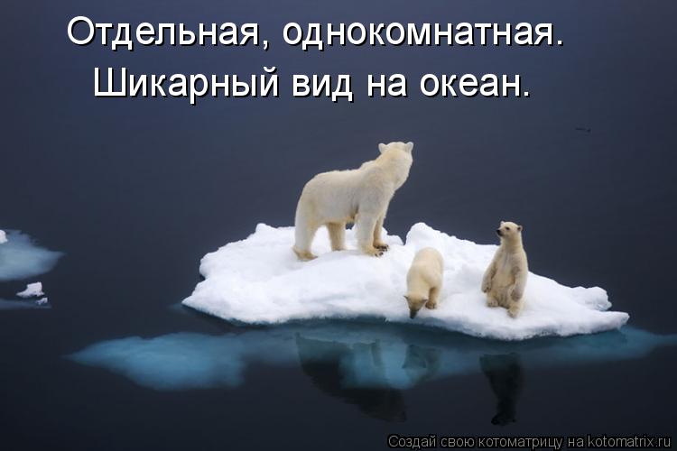 Отдельная, однокомнатная. Шикарный вид на океан.... Котоматрица: Отдельная, однокомнатная. Шикарный вид на океан.