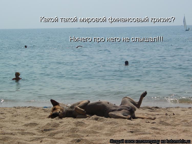 Какой такой мировой финансовый кризис? Ничего про него не слышал!!!... Котоматрица: Какой такой мировой финансовый кризис? Ничего про него не слышал!!!