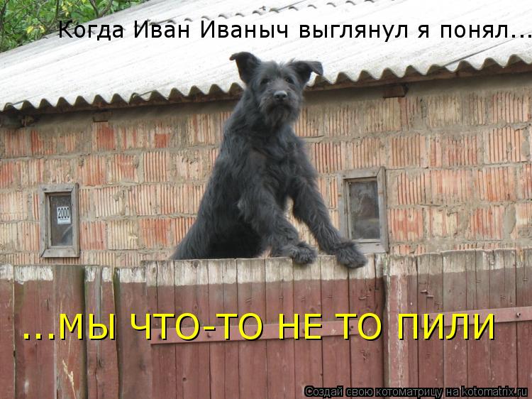 Когда Иван Иваныч выглянул я понял... ...МЫ ЧТО-ТО НЕ ТО ПИЛИ... Котоматрица: Когда Иван Иваныч выглянул я понял... ...МЫ ЧТО-ТО НЕ ТО ПИЛИ
