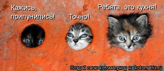 Кажись, Точно! Ребята, это кухня! прилунились!... Котоматрица: Кажись, Точно! Ребята, это кухня! прилунились!