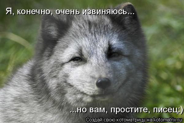 Я, конечно, очень извиняюсь... ...но вам, простите, писец:)... Котоматрица: Я, конечно, очень извиняюсь... ...но вам, простите, писец:)
