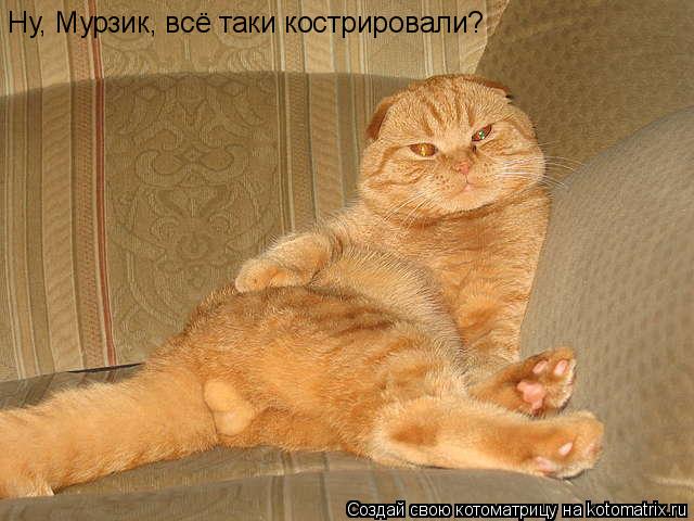 Ну, Мурзик, всё таки кострировали?... Котоматрица: Ну, Мурзик, всё таки кострировали?