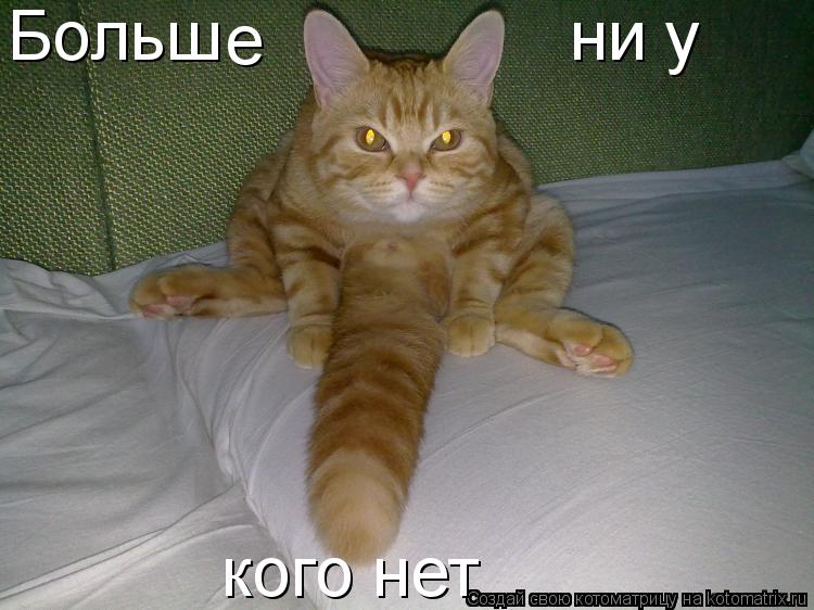 Больш е ни у кого нет... Котоматрица: Больш е ни у кого нет