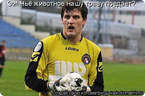 Эй! Чьё животное нашу траву поедает?... Котоматрица: Эй! Чьё животное нашу траву поедает?
