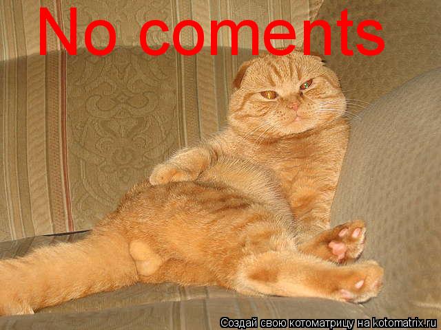 No coments... Котоматрица: No coments