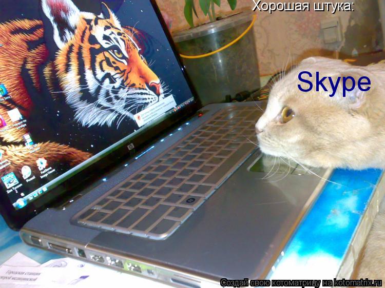 Хорошая штука: Skype... Котоматрица: Хорошая штука: Skype