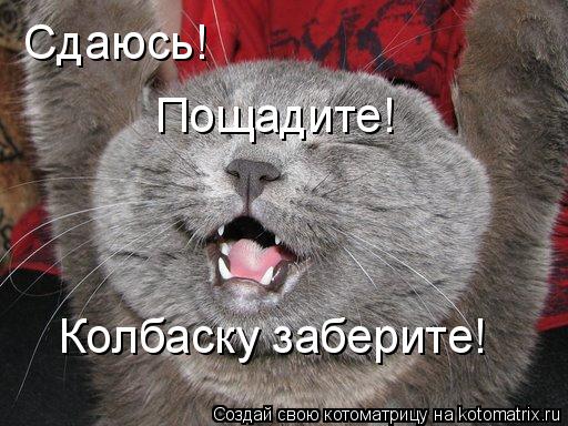 Сдаюсь! Пощадите! Колбаску заберите!... Котоматрица: Сдаюсь! Пощадите! Колбаску заберите!