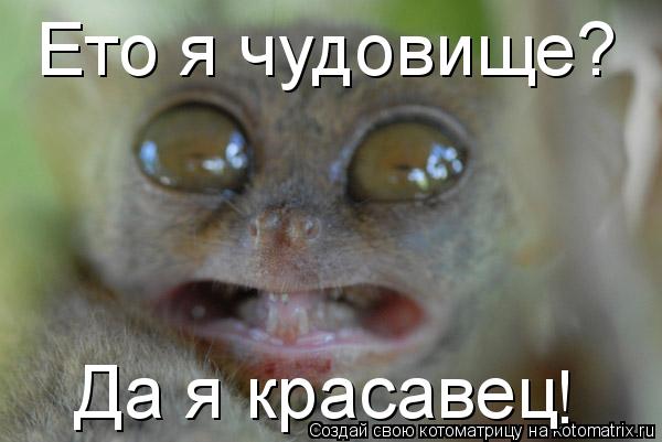 Ето я чудовище? Да я красавец ! !... Котоматрица: Ето я чудовище? Да я красавец ! !