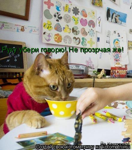 Руку убери говорю! Не прозрчая же!... Котоматрица: Руку убери говорю! Не прозрчая же!