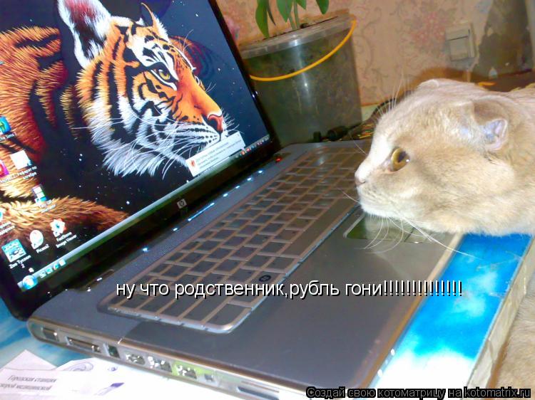 ну что родственник,рубль гони!!!!!!!!!!!!!!... Котоматрица: ну что родственник,рубль гони!!!!!!!!!!!!!!