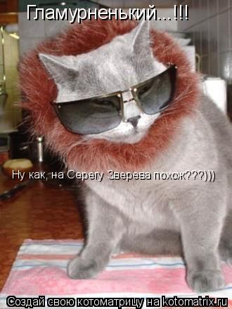 Гламурненький...!!! Ну как, на Серегу Зверева похож???)))... Котоматрица: Гламурненький...!!! Ну как, на Серегу Зверева похож???)))