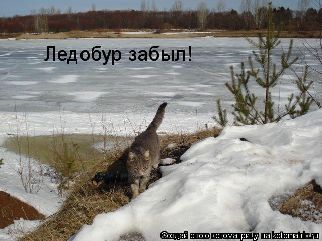Ледобур забыл! Ледобур забыл!... Котоматрица: Ледобур забыл! Ледобур забыл!