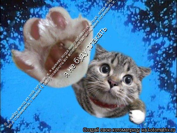 Я, я найду выход из этой ситуации, я, я выживу, когда мир разбивается в прах, когда я падаю и сталкив... Котоматрица: Я, я найду выход из этой ситуации, я, я выживу, когда мир разбивается в прах, когда я падаю и сталкиваюсь с землей Я смогу повернуть все вспять