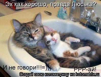 Эх как хорошо, правда Люська? И не говори!!!=))) РРР-ай!... Котоматрица: Эх как хорошо, правда Люська? И не говори!!!=))) РРР-ай!