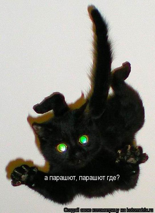 а парашют, парашют где?... Котоматрица: а парашют, парашют где?