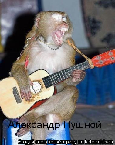 Александр Пушной... Котоматрица: Александр Пушной