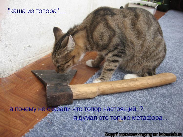 "каша из топора".... а почему не сказали что топор настоящий..? я думал это только метафора...... Котоматрица: "каша из топора".... а почему не сказали что топор настоящий..? я думал это только метафора...