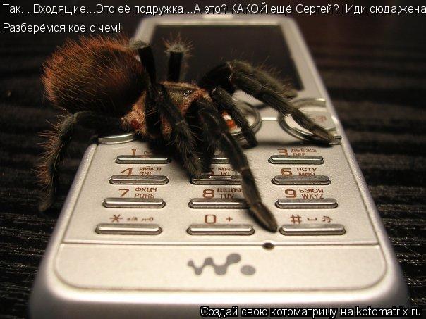 Так... Входящие...Это её подружка...А это? КАКОЙ ещё Сергей?! Иди сюда,жена! Разберёмся кое с чем!... Котоматрица: Так... Входящие...Это её подружка...А это? КАКОЙ ещё Сергей?! Иди сюда,жена! Разберёмся кое с чем!
