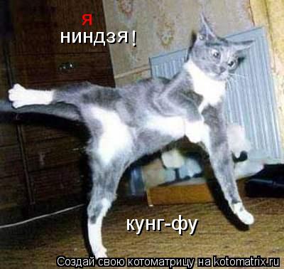 я ниндз я ! кунг-фу... Котоматрица: я ниндз я ! кунг-фу
