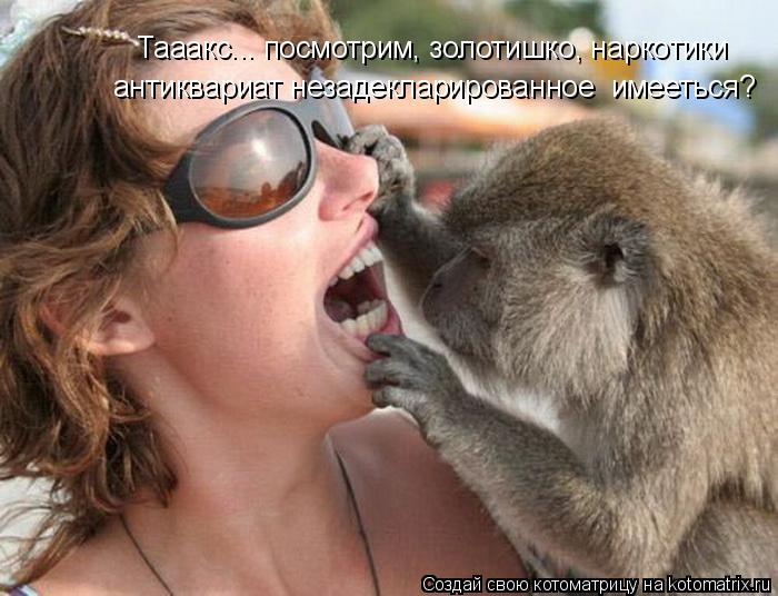 Тааакс... посмотрим, золотишко, наркотики антиквариат незадекларированное имееться?... Котоматрица: Тааакс... посмотрим, золотишко, наркотики антиквариат незадекларированное имееться?