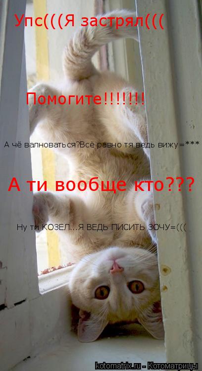 Упс(((Я застрял((( Помогите!!!!!!! А чё валноваться?Всё равно тя ведь вижу=*** А ти вообще кто??? Ну ... Котоматрица: Упс(((Я застрял((( Помогите!!!!!!! А чё валноваться?Всё равно тя ведь вижу=*** А ти вообще кто??? Ну ти КОЗЕЛ...Я ВЕДЬ ПИСИТЬ ЗОЧУ=(((