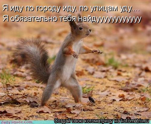 Я иду по городу иду, по улицам уду.... Я обязательно тебя найдуууууууууууу... Котоматрица: Я иду по городу иду, по улицам уду.... Я обязательно тебя найдуууууууууууу