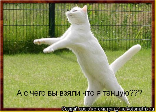 А с чего вы взяли что я танцую???... Котоматрица: А с чего вы взяли что я танцую???