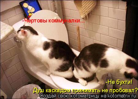 -Чертовы коммуналки... -Не бухти! Душ каскадом принимать не пробовал?... Котоматрица: -Чертовы коммуналки... -Не бухти! Душ каскадом принимать не пробовал?