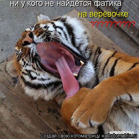 ни у кого не найдётся фатика на верёвочке ??????????... Котоматрица: ни у кого не найдётся фатика на верёвочке ??????????