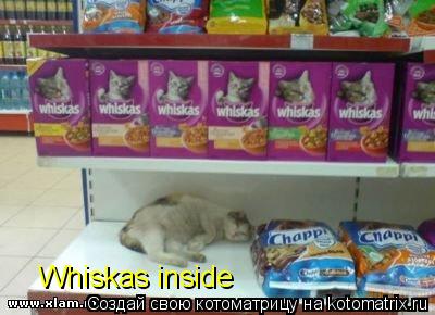 Whiskas inside... Котоматрица: Whiskas inside