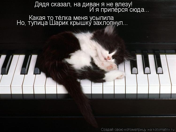 Дядя сказал, на диван я не влезу! И я припёрся сюда... Какая то тёлка меня усыпила Но, тупица Шарик к... Котоматрица: Дядя сказал, на диван я не влезу! И я припёрся сюда... Какая то тёлка меня усыпила Но, тупица Шарик крышку захлопнул...