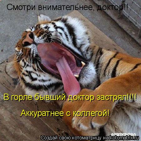 Смотри внимательнее, доктор!! В горле бывший доктор застрял!!!! Аккуратнее с коллегой!... Котоматрица: Смотри внимательнее, доктор!! В горле бывший доктор застрял!!!! Аккуратнее с коллегой!
