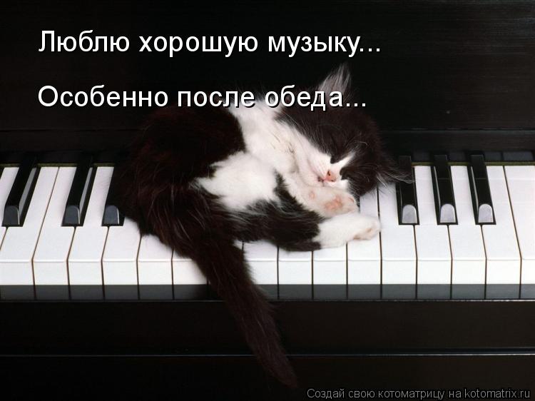 Котоматрица: Люблю хорошую музыку... Особенно после обеда...