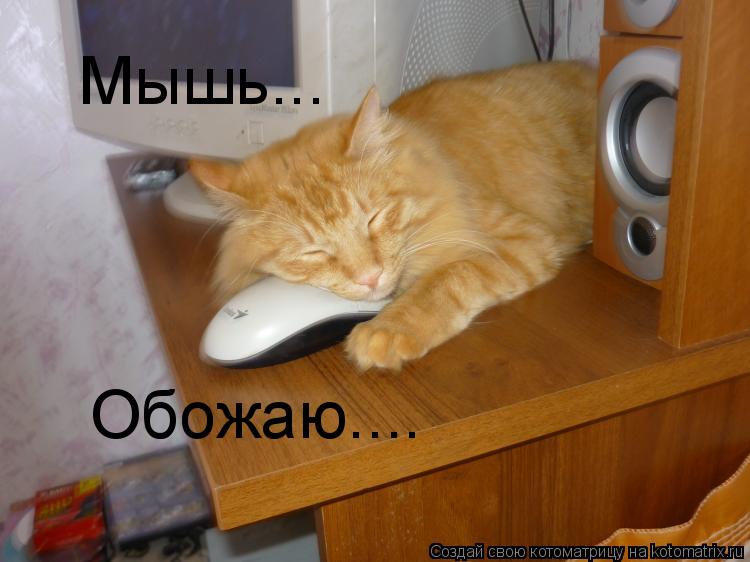 Котоматрица: Мышь... Обожаю....