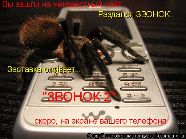 Вы зашли на неизвестный сайт ... Раздался ЗВОНОК... "ЗВОНОК 2" скоро, на экране вашего телефона Заста... Котоматрица: Вы зашли на неизвестный сайт ... Раздался ЗВОНОК... "ЗВОНОК 2" скоро, на экране вашего телефона Заставка оживает...