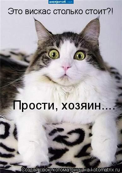 Котоматрица: Это вискас столько стоит?! Прости, хозяин....