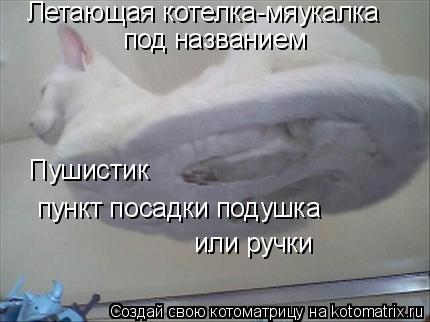 Котоматрица: Летающая котелка-мяукалка под названием Пушистик пункт посадки подушка или ручки